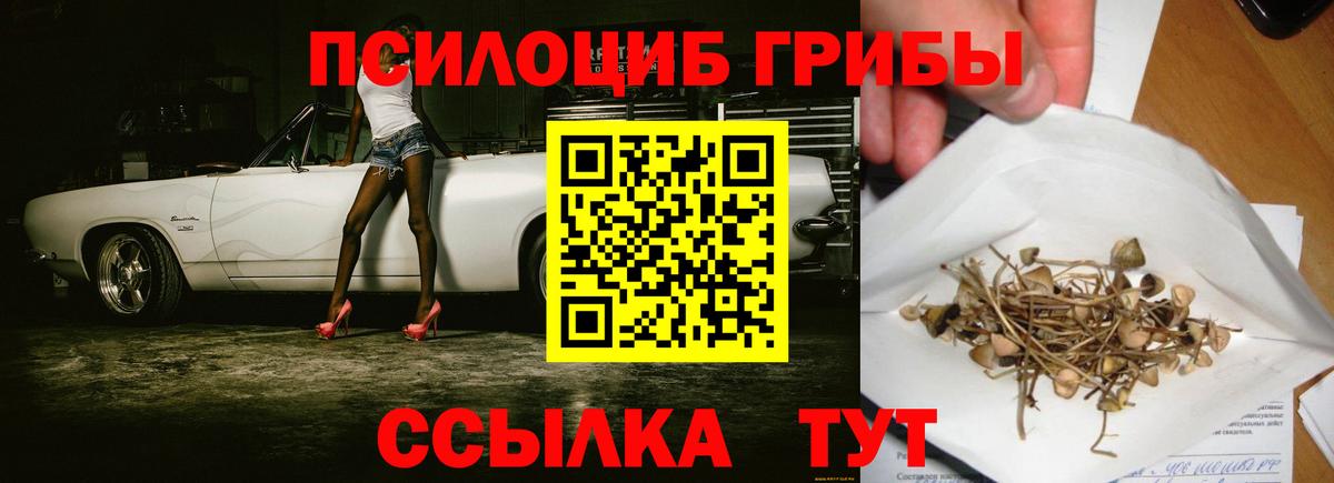 Братск  Псилоцибиновые грибы MAGIC MUSHROOMS  Вход с VPN 
